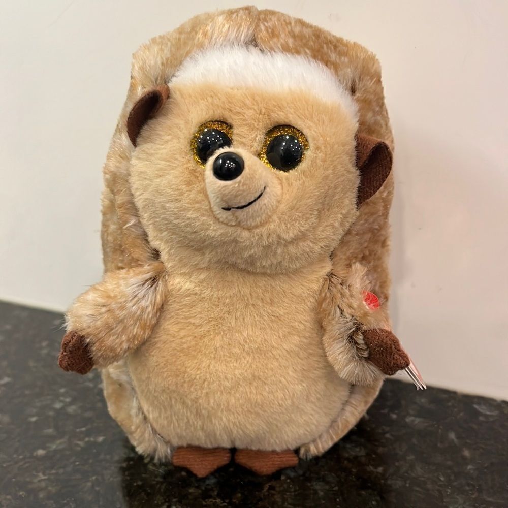 TY Beanie Baby 6" IDA Hedgehog Plush Stuffed Animal MWMT & Heart Protector MINT